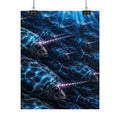 Rolled Posters